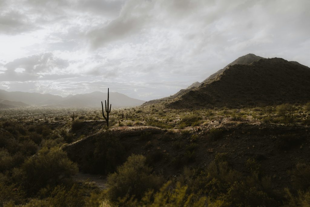 desert landscape symbolizing courage to be uncomfortable