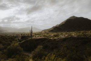 desert landscape symbolizing courage to be uncomfortable