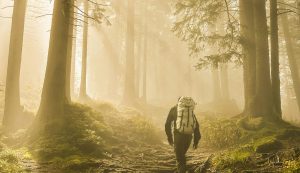 Person hiking through trees with hazy sunlight pouring through.