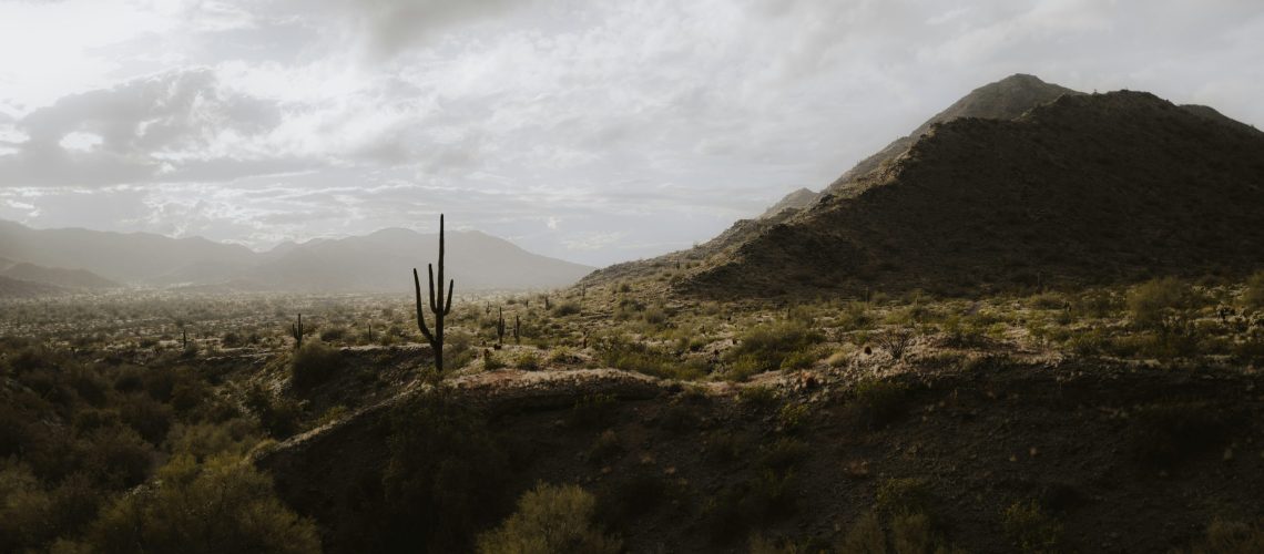 desert landscape symbolizing courage to be uncomfortable