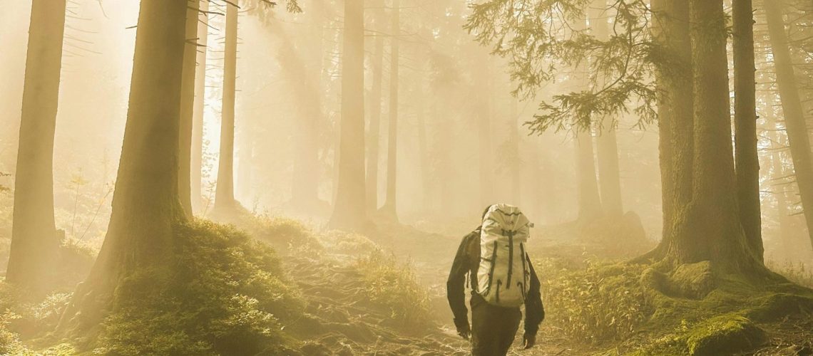 Person hiking through trees with hazy sunlight pouring through.
